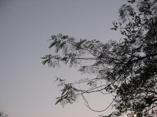 IMG_0435 - PICTURE ON KMG_0435