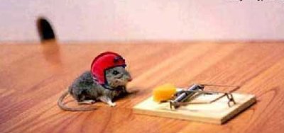 stunt mouse - mouse doing a stunt thats never been attemped before