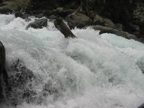 Lake - Dont ever try to get into the flow