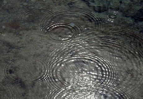 circles in the rain - rain circles.. mind circles.. what are you thinking to ?