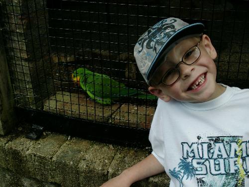 My Bing - My 7 year old son, he's so special