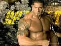 batista - favorite wrestler.. the animal!