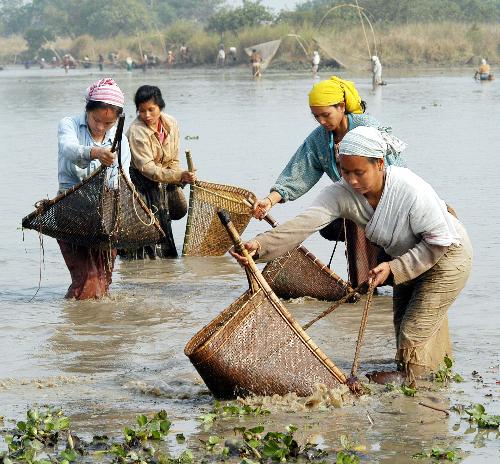 fISHING bASKET...TRADITIONAL - fISHING bASKET...TRADITIONAL,ASSAM,INDIA