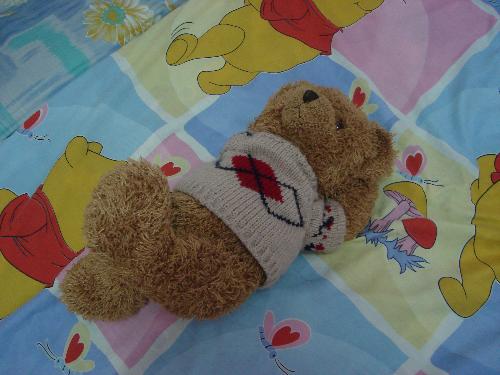 funny bear - this bear is belong to me. and i make it a lot of pose...so cool