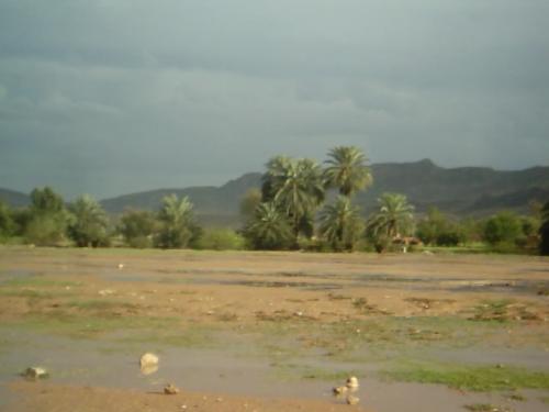 teri cricket ground - this teri cricket ground.