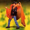 dilwale dulhania le jayenge - dilwale dulhania le jayenge