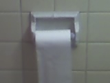 On a Roll - Toilet Paper Revolution. Stop the over flow!