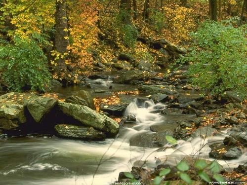 Chutes_11.jpg - Chutes_11.jpg