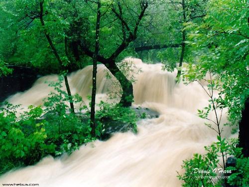 Chutes_27.jpg - Chutes_27.jpg