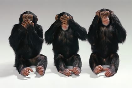 Morals - monkey style