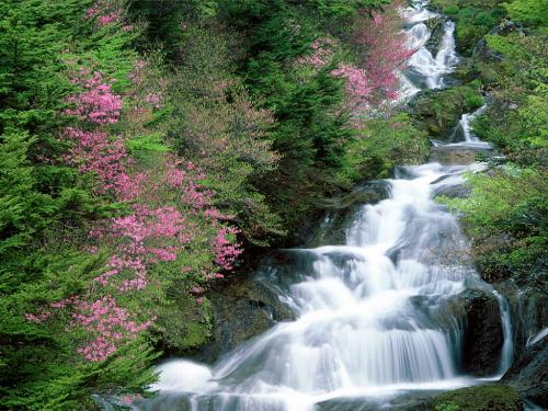 Tochigi, waterfall - waterfall