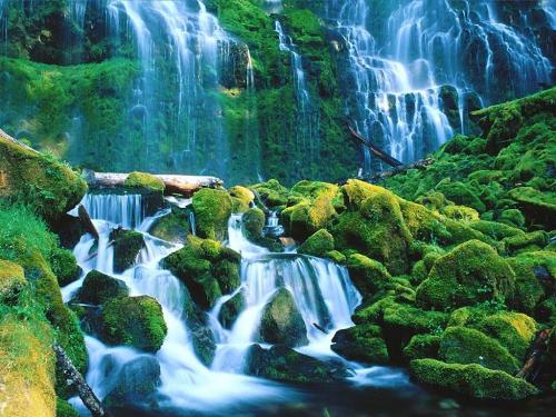 Willamete, waterfall - waterfall