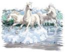 horses - horses