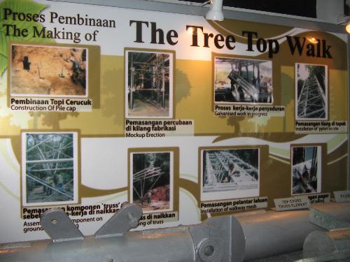 Papan Information Tree Top Walk - Di sini banyak informasi mengenai pembangunan Tree Top Walk boleh didapati. (Aku pon tak sempat baca habis !)