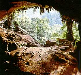 Niah Cave - Niah Cave in Sarawak,Malaysia