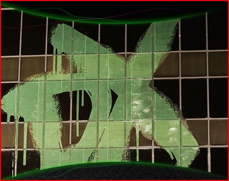 dx is back - this is the massive destructive force of wwe