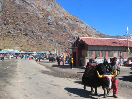 sikkim pic - sikkim is small but beautiful. the following pic is from Changu Lake, one of the highest visited destinations in sikkim. it is near China border and Nathula 10 km in reach.