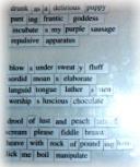 poetry - Classic, love, fridge, restroom, all kinds of poems and poets.  Come share yourself...