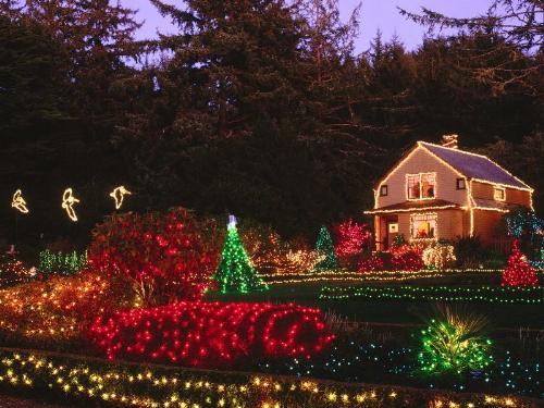Christmas card - Give my friends a christmas card! Merry Christmas!!