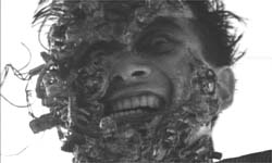 tetsuo - Tetsuo: The Iron Man is a 1988 Japanese film by cult-film director Shinya Tsukamoto. This, his third film, is an extremely graphic but also strikingly-filmed fantasy shot in the same low-budget, underground-production style as his first two films. Tetsuo established Tsukamoto internationally and created his worldwide cult. It was followed by Tetsuo II: Body Hammer. The film opens with a man (called only'the man', or sometimes the'Metals Fetishist') tearing open a massive gash in his leg and shoving in a piece of scrap metal. Upon seeing maggots festering in the wound, he screams, runs out into the street, and is hit by a car. The driver of the car (cult actor Taguchi Tomorowo) tries to cover up the mess by dumping the body into a ravine, but the dead man comes back to haunt him -- by forcing his body to gradually metamorphose into a walking pile of scrap metal. In one of the film's most controversial sequences, the man discovers his pnis has mutated into a gargantuan power drill, and his girlfriend willingly copulates to death upon it. The film ends with a duel between the man and the Fetishist with the pair transformed into a giant mutated monster. One of the main themes of the movie is the main character's latent homosexuality. Some critics have seen this film as being a literal use of a metaphor, showing mankind's dehumanization and'becoming the machine'. The scene involving the businessman killing his girlfriend with his own pnis-turned-powerdrill is indicative of the dehumanization. The setting, which shows modern Japan as an industrial wasteland, suggests a post-apocalyptic nightmare. Some critics have suggested that Shinya Tsukamoto was making a statement on the dehumanization of industrialized Japan and the Japanese corporate culture. The film can also be seen as a comment on impotence as a metaphor for the feeling of alienation and helplessness in the face of byzantine corporate culture and modern urban life. The main character 'salary man' and his wife react with sexual arousal after they run over the metal fetishist, and the salary man is very different after the appearance of his'power tool pnis' from his former corporate-puppet-self. It is suggested that this state of virility is different from before the hit and run accident. The iron/machine-mutation comes to represent personal empowerment, with both good and bad sides to it. This is even further underscored by the shape of the mutated creature which appears at the end of the film, which is more than a bit similar to an erect pnis. It has been often discussed that Tetsuo is a metaphor for the spread of the AIDS virus. The film is Unrated but contains substantial strange violent and sexual imagery. The film is also discussed in Clive Barkers'A-Z Book of Horror'. The DVD has been released in America and elsewhere from Tartan Asia Extreme.