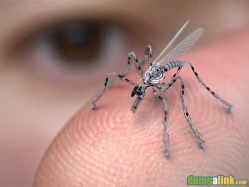 the smallest machine mosquito in the world - this kind of mosquito also can develop.omg