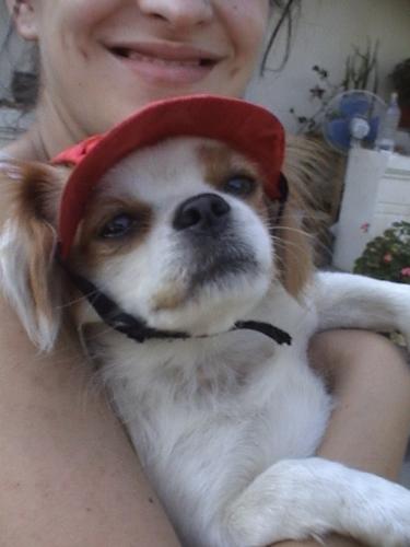 my dog - What do you say ?!!!