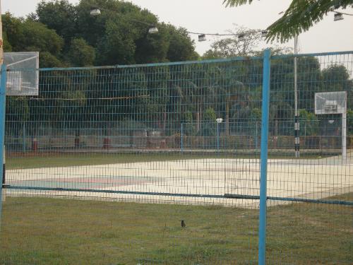 basketball - Basket ball court in my college.