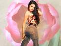 amisha - amisha