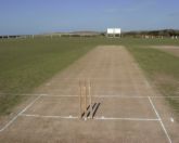 pitch - it's the picture of a pitch it clearly shows it's dimensions and three standing figures are called wickets