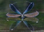 Best photos of National Geographic (2006) - amazing...isn't it?
