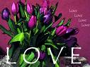 Love - Love