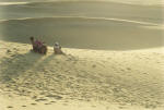 The western Ghats - In Gujarat