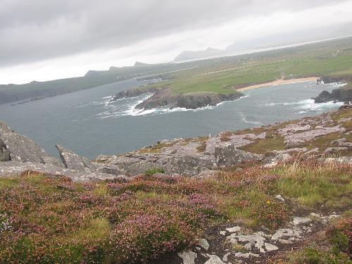 Dingle, Kerry, Ireland - Dingle, Kerry, Ireland