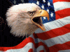 Flag with eagle - American Flag with Eagle