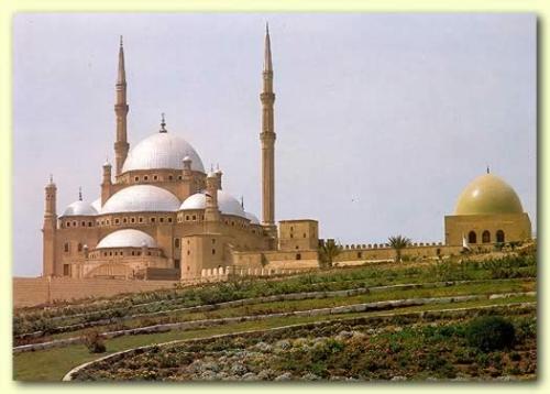 ali - ali