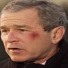 bush - bush