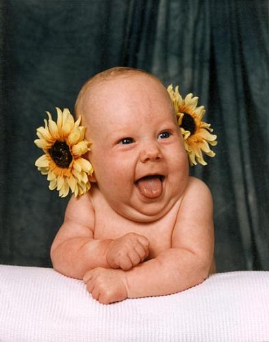 baby - cute baby with sunflower