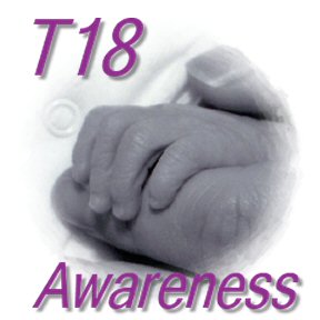 T18 Awareness Banner - T18 Awareness Banner