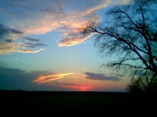 Texas Skies - This was taken just down the street from where we live.  There are fields all over the place and that old tree there is the only tree left on the field.  Nothing beats a Texas sunrise.