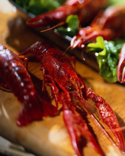 lobster - a very delicious dish-lobster