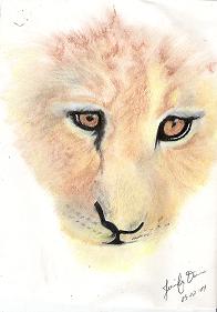lion cub head - This is a pic I drew before I had my son....never got around to finishing it but my grandma wanted it as is so I signed it and scanned it and she's now got it hanging in a bamboo style frame in her living room.