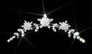 Wedding Crown/Tiara - I would prefer to wear a tiara on my head on my wewdding day. I think that it looks so elegant. Wedding Crown/Tiara - I would prefer to wear a tiara on my head on my wewdding day. I think that it looks so elegant.
