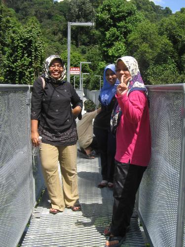 Atas Tree Top Walk - Semasa berjalan di atas tree top walk