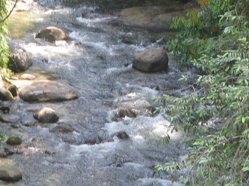 Air Terjum Sedim - Gambar air terjun ini ditangkap dari atas Tree Top Walk itu