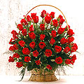 Roses - Roses for peace.
