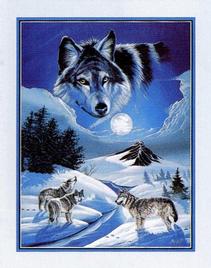 Wolve in Snow - Wolve Painting 2