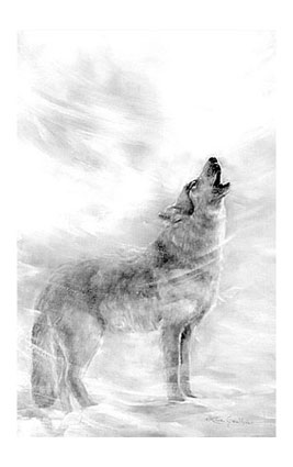 Wolf Howl - Wolf Howling