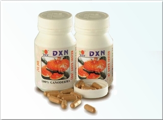 Ganocelium (GL) - Ganocelium (GL) contains Ganoderma lucidum. It is different from Reishi Gano (RG) that the Ganoderma lucidum used are harvested from a 18-day old Mycelium of Ganoderma lucidum. The mycelium are rich in polysaccharides, adenosine, organic germanium, triterpenes, vitamins, minerals, and essential fatty acids. It has excellent effect in improving the general well-being.