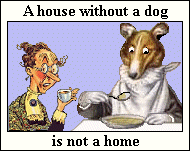 Not a home at all!!! - a house without a dog is not a home!