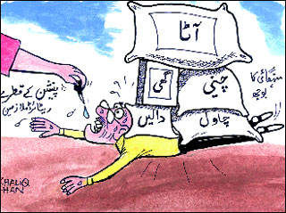Cartoon - Lovely Cartoon